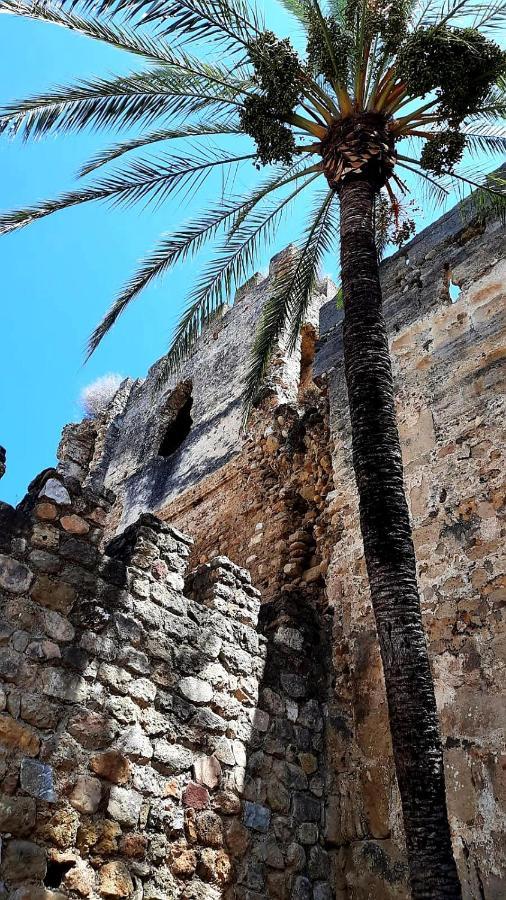 Penthouse Haramara, Romana Playa マルベーリャ エクステリア 写真